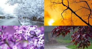 Seasons-in-India