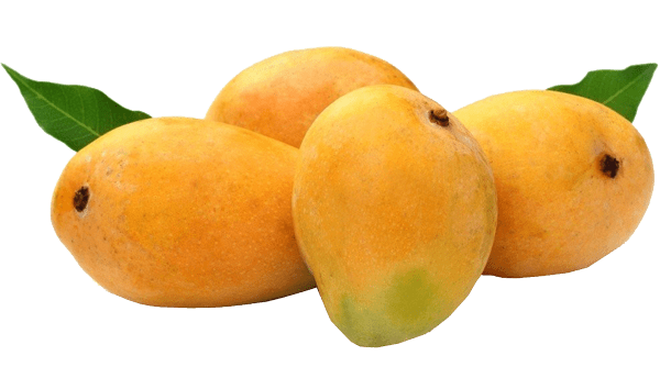 alphonso