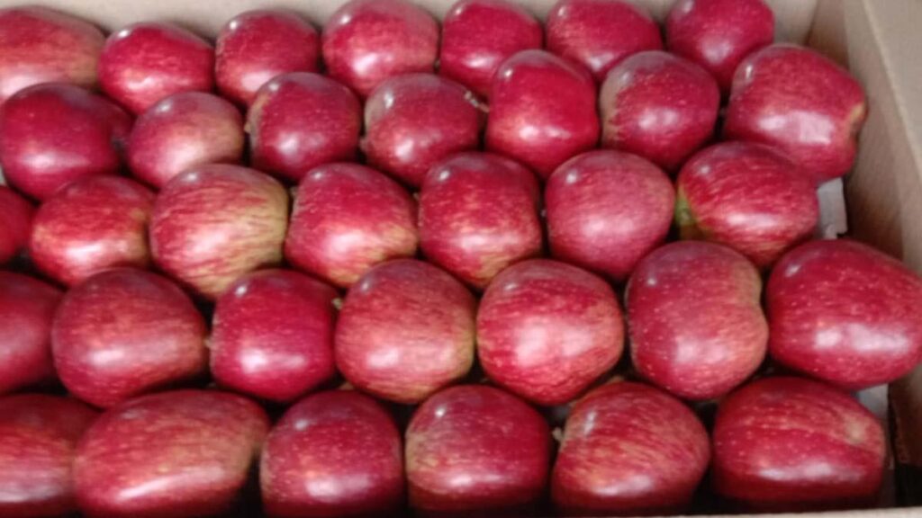 apple market delhi