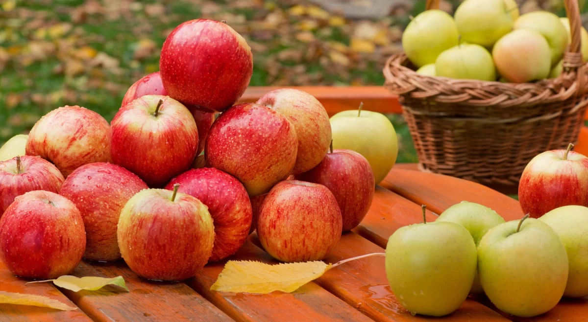 G20 Affected Delhi Apple Market Himachal Agri Affected Www.thehindi.in