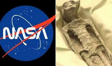 Nasa Panel On 1 000 Year Old Alien Corpses In Mexico Www.thehindi.in