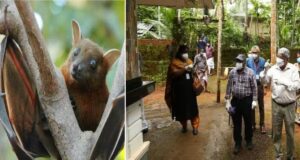 nipah virus in kerla