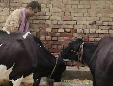 Up Govt 15k Support To Farmer To Improve Indigenous Cow Breed Www.thehindi.in