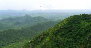 vindhya range