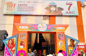 saras mela