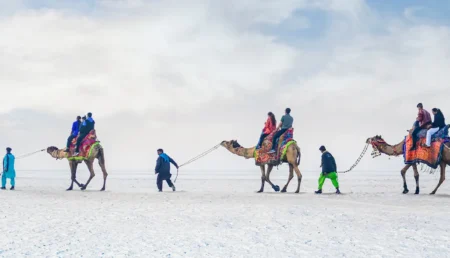 Rann Of Kutch