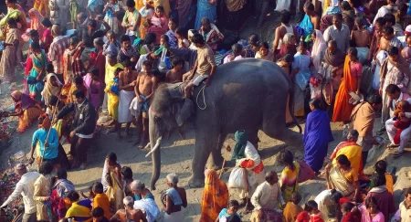 Asias Largest Animal Fair Www.thehindi.in