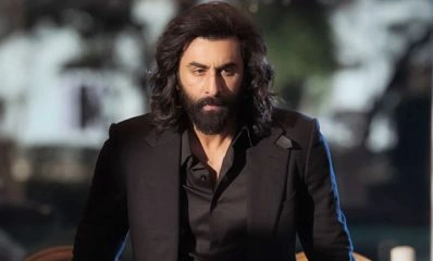 Box Office Animal Worldwide Box Office Collection Day 3 Ranbir Kapoor Www.thehindi.in