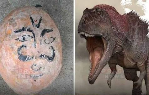Mp News People Used To Worship Dinosaur Egg In Dhar Www.thehindi.in