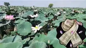 Janen Lotas Silk Ke Itihaas Ko Aakhir Kyon Itana Mahanga Hai Yah Silk Www.thehindi.in