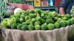 Kentol Www.thehindi.in