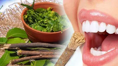 Neem Www.thehindi.in